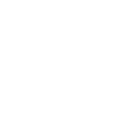 Illustrationページへ